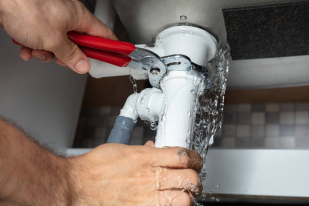 Best Flooded house restoration  in Pukalani, HI