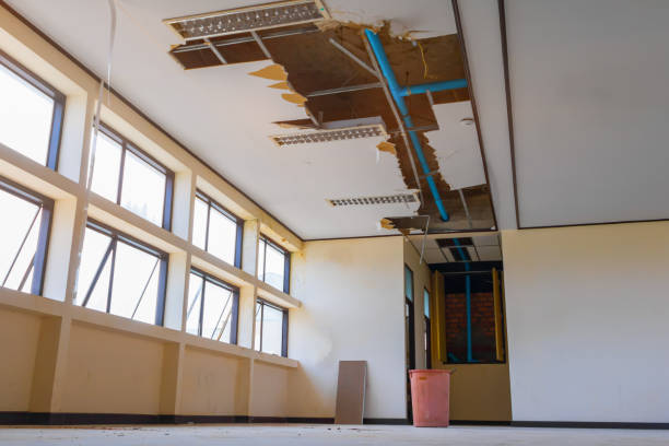 Best Water damage contractors near me  in Pukalani, HI
