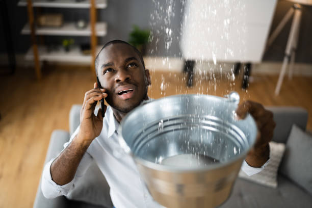 Best Carpet water damage restoration  in Pukalani, HI