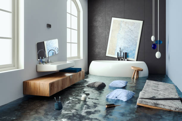 Best Mold removal after water damage  in Pukalani, HI