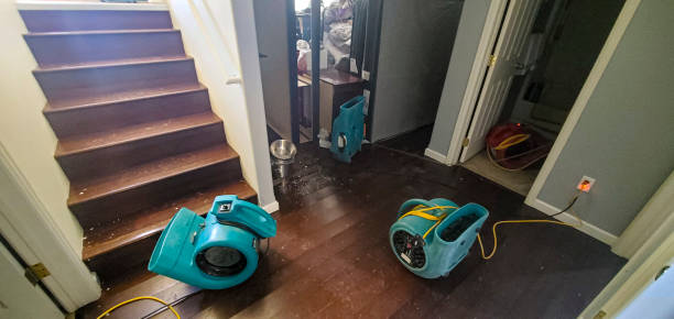 Water damage restoration mold remediation in HI