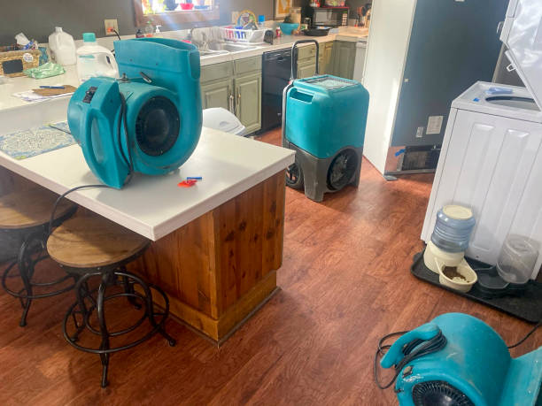 Best Commercial water damage restoration  in Pukalani, HI