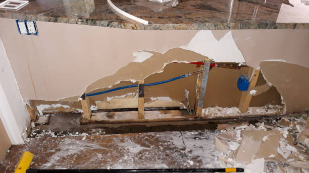 Best Flood damage cleanup  in Pukalani, HI