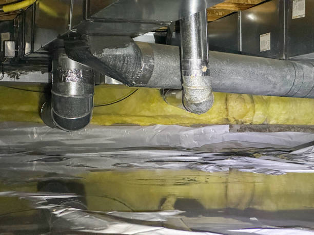 Best 24-hour water damage restoration  in Pukalani, HI