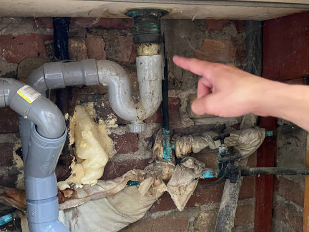  Pukalani, HI Water damage restoration Pros