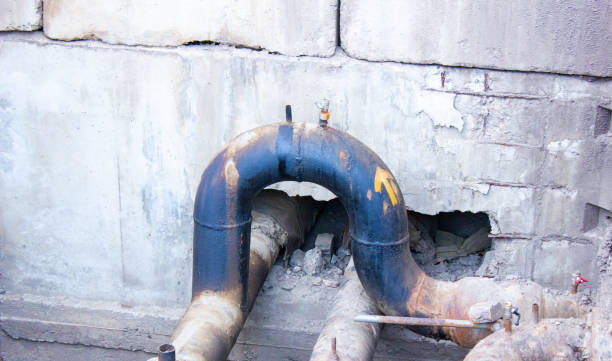 Best 24/7 water damage repair  in Pukalani, HI
