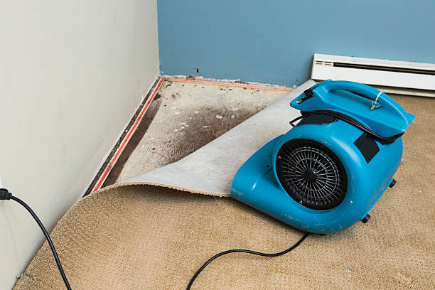 Best Water damage restoration near me  in Pukalani, HI