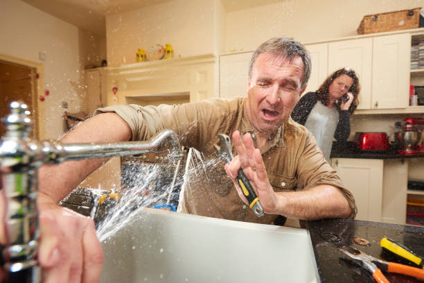 Best Local water damage restoration  in Pukalani, HI